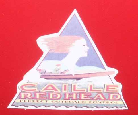 Caille row boat motor