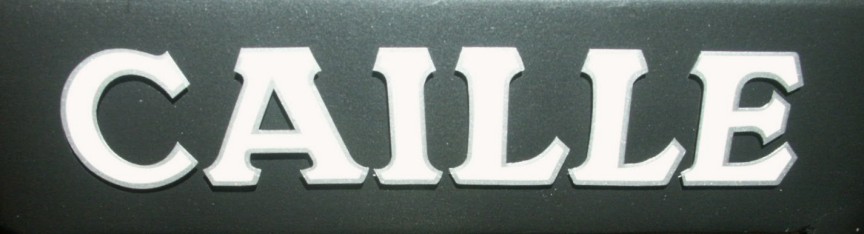 Caille row boat motor